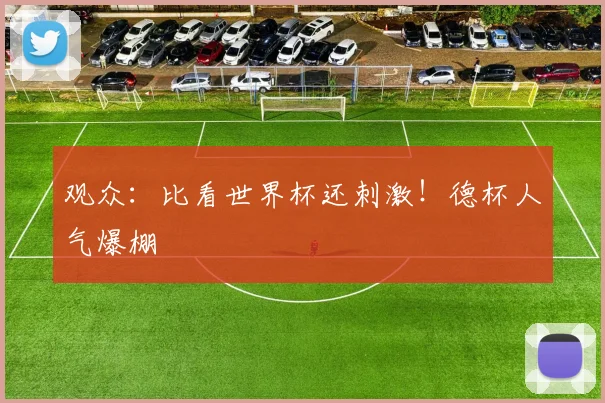 观众：比看世界杯还刺激！德杯人气爆棚