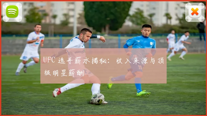 UFC 选手薪水揭秘:收入来源与顶级明星薪酬