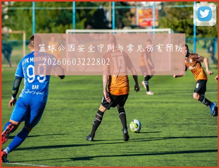 篮球公园安全守则与常见伤害预防_20260603222802