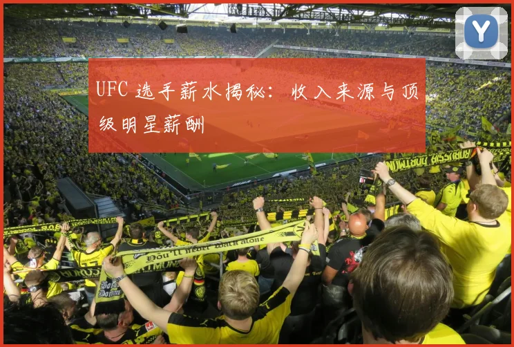 UFC 选手薪水揭秘：收入来源与顶级明星薪酬