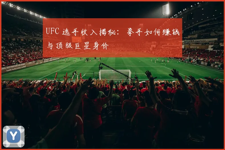 UFC 选手收入揭秘：拳手如何赚钱与顶级巨星身价